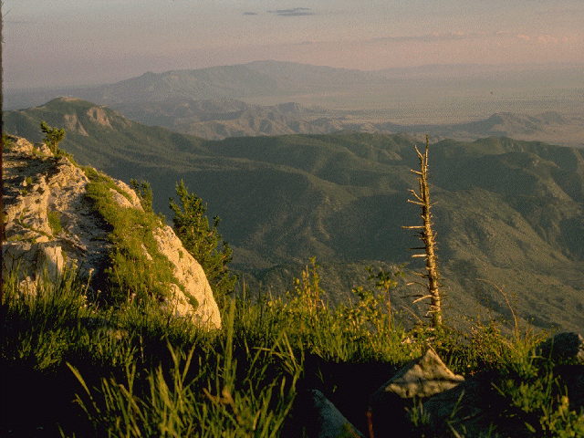 sandia.gif (224131 bytes)